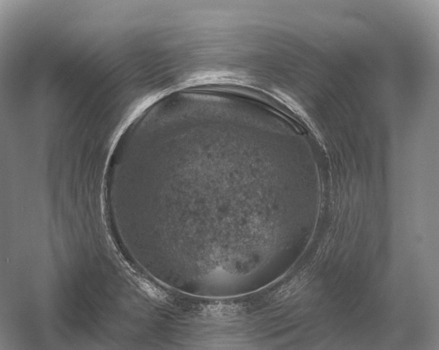 X0000057571277200509231216