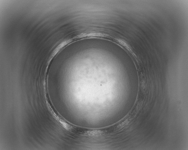 X0000057571282200509231216