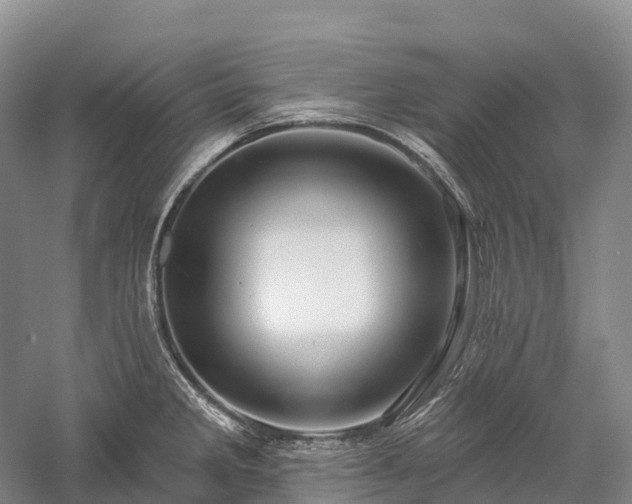 X0000057571285200509231216