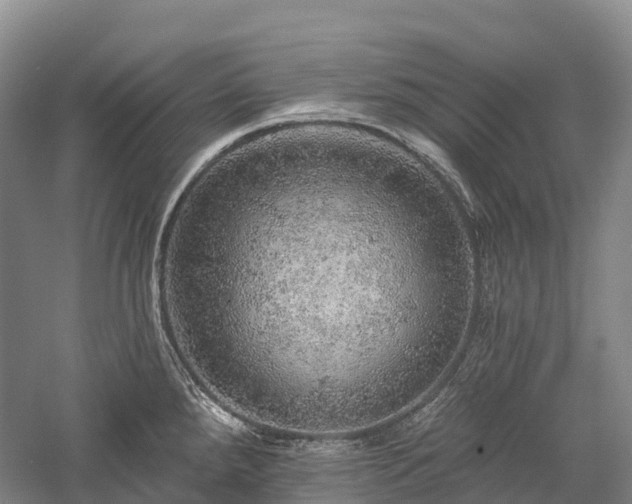 X0000057571288200509231216