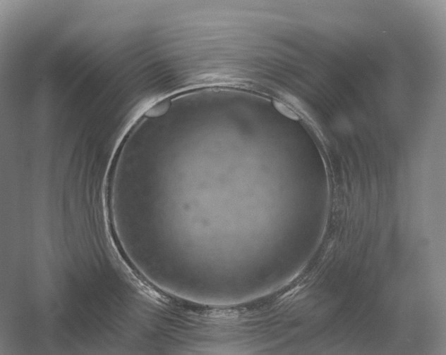 X0000057571291200509231216