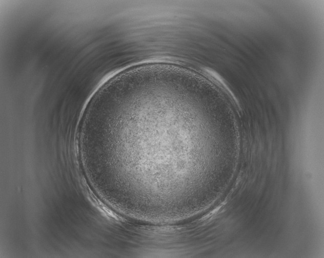 X0000057571292200509231216