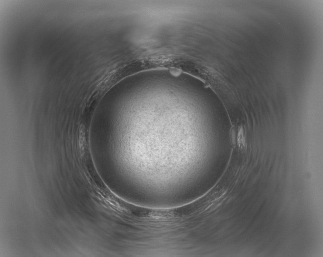 X0000057571299200509231215