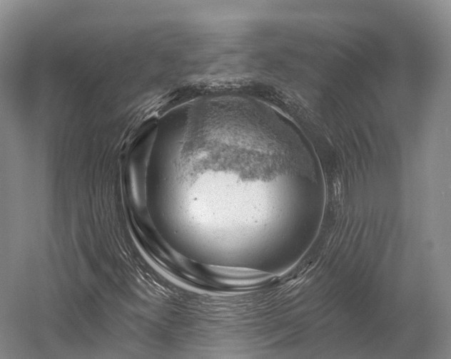 X0000057571300200509231215