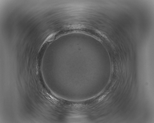 X0000057571306200509231215