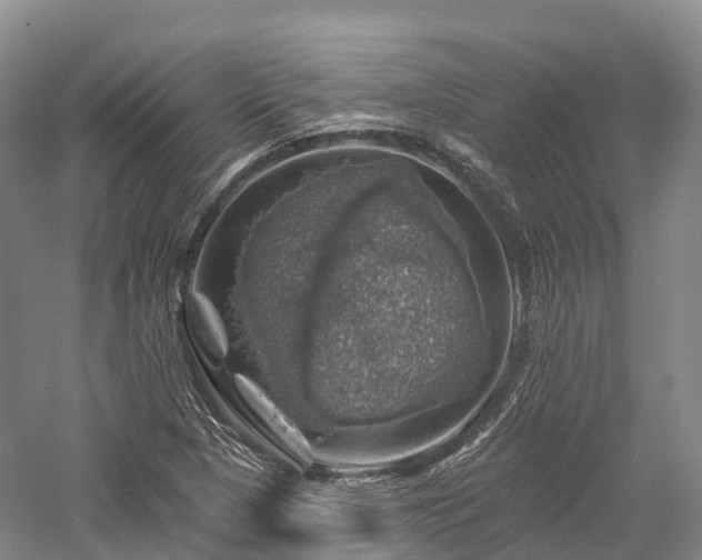 X0000057571313200509231215