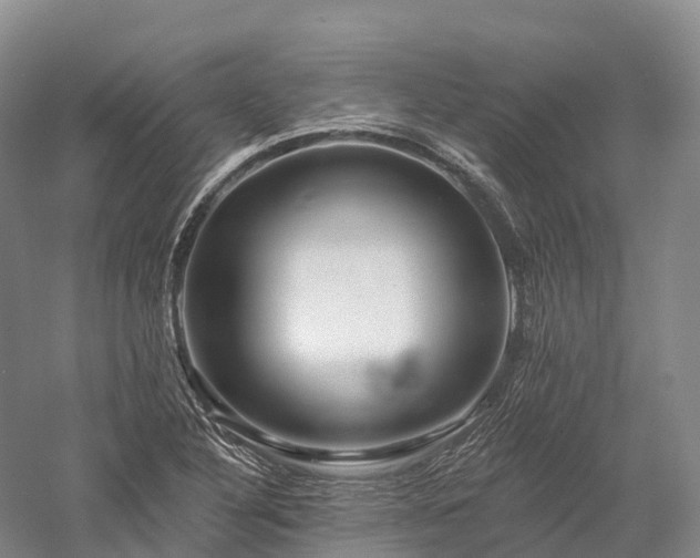 X0000057571316200509231215