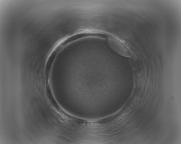 X0000057571319200509231215