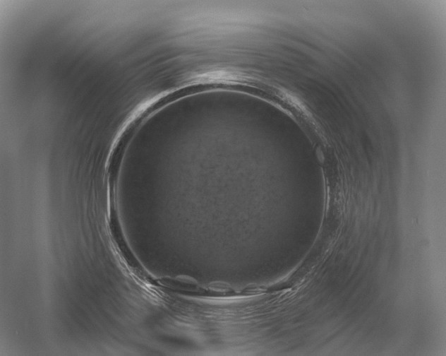 X0000057571323200509231215
