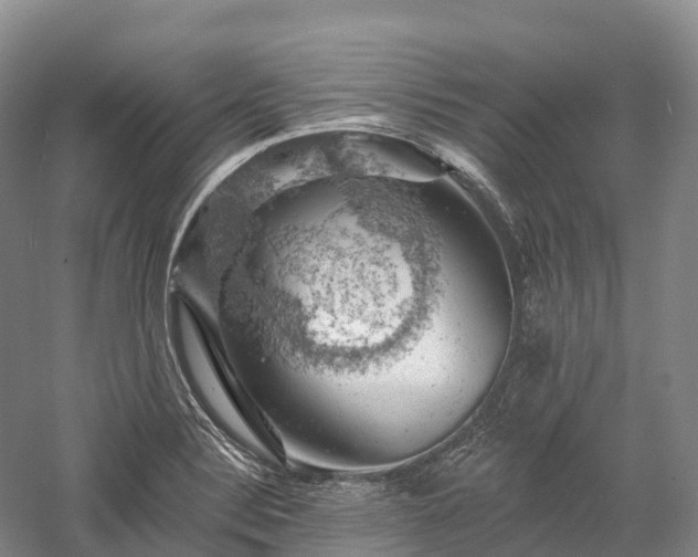 X0000057571324200509231215