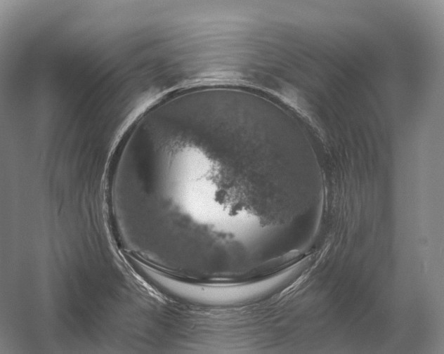 X0000057571325200509231215