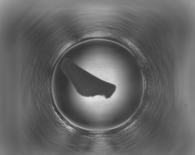 X0000057571329200509231215