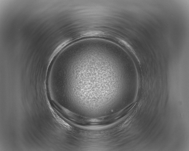 X0000057571330200509231215