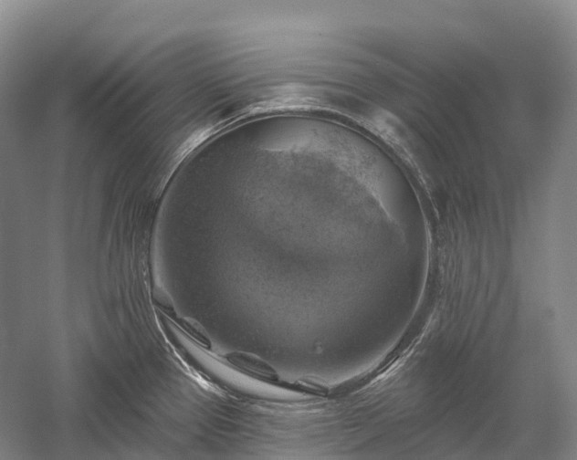 X0000057571337200509231215