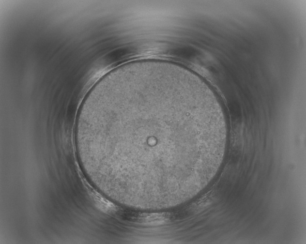 X0000057571338200509231215