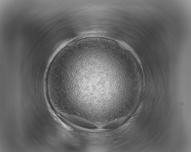 X0000057571341200509231215