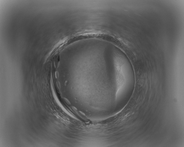 X0000057571351200509231215