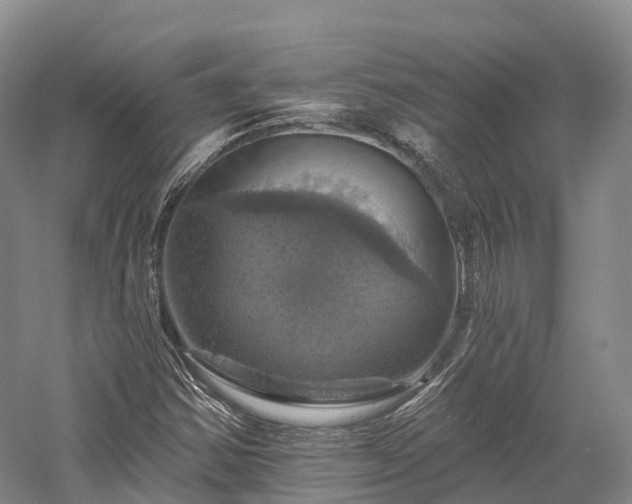 X0000057571354200509231214