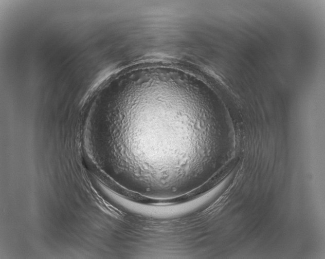 X0000057571355200509231214
