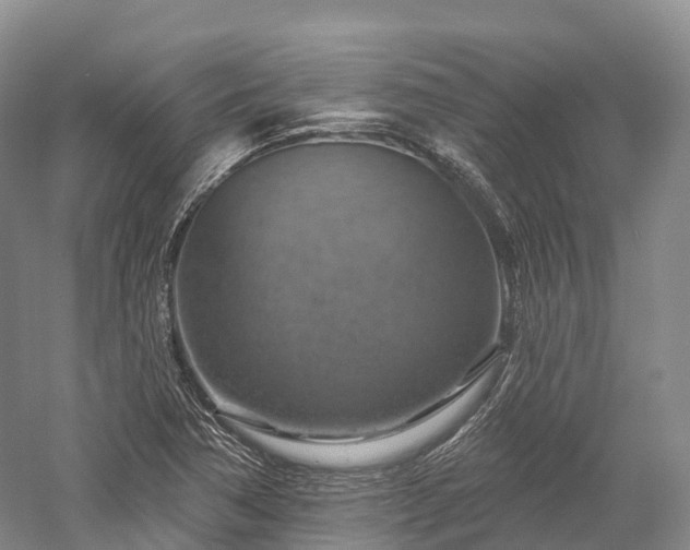 X0000057571362200509231214