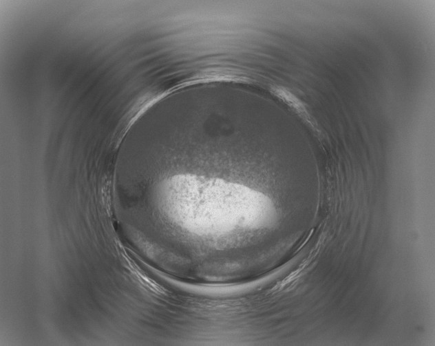 X0000057571369200509231214