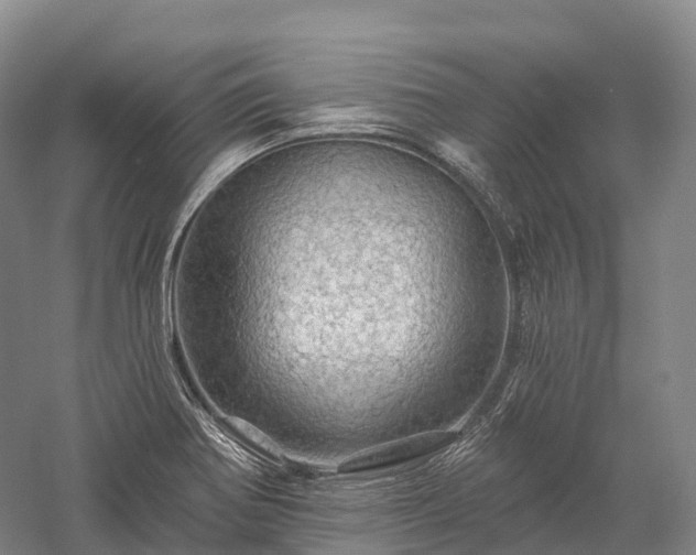 X0000057571370200509231214