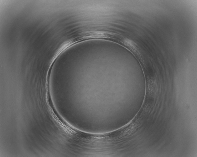 X0000057571378200509231214