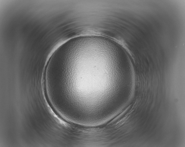 X0000057571387200509231214