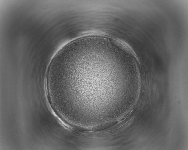 X0000057571391200509231214