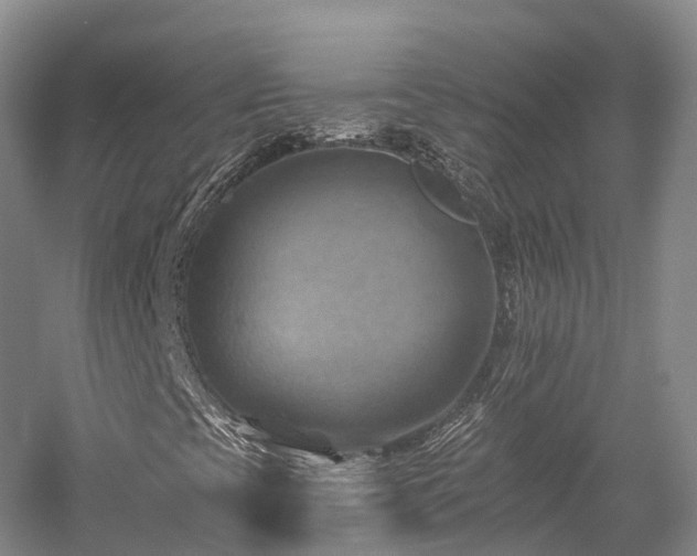 X0000057571393200509231213