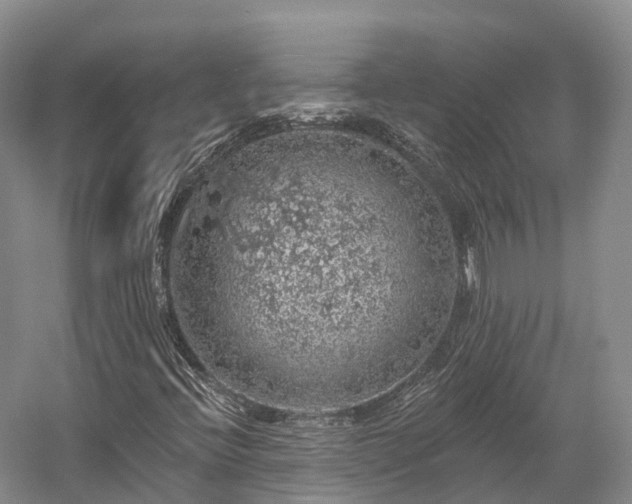 X0000057571396200509231213