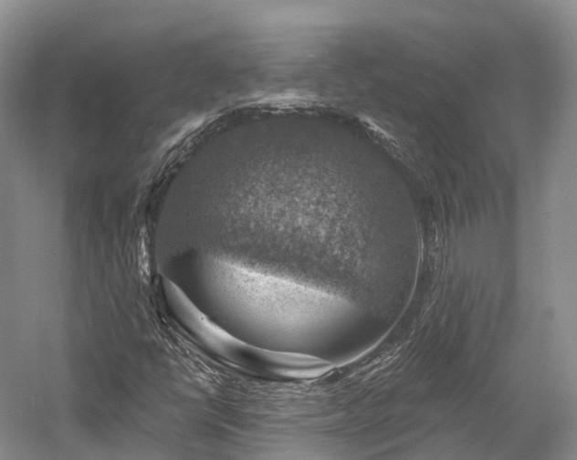 X0000057571398200509231213
