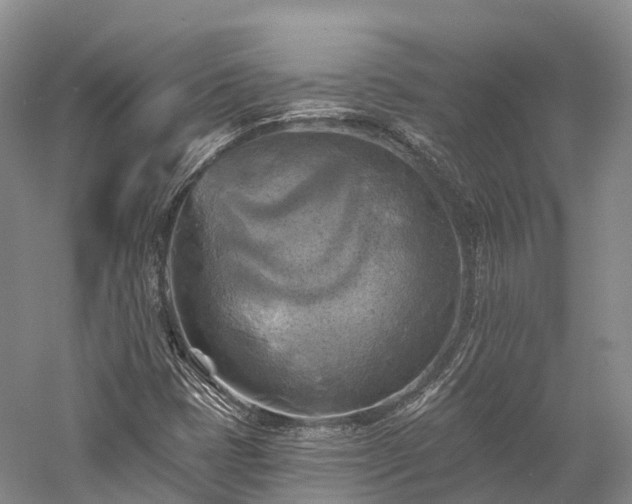 X0000057571401200509231213