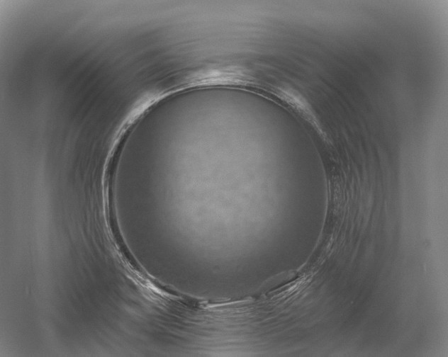 X0000057571419200509231213