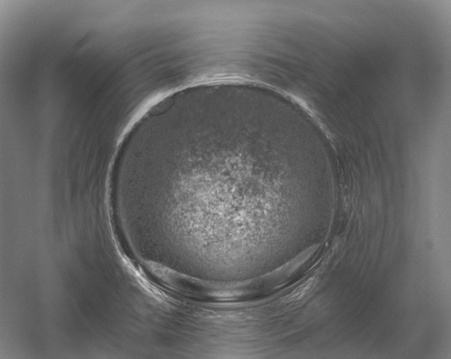 X0000057571422200509231214