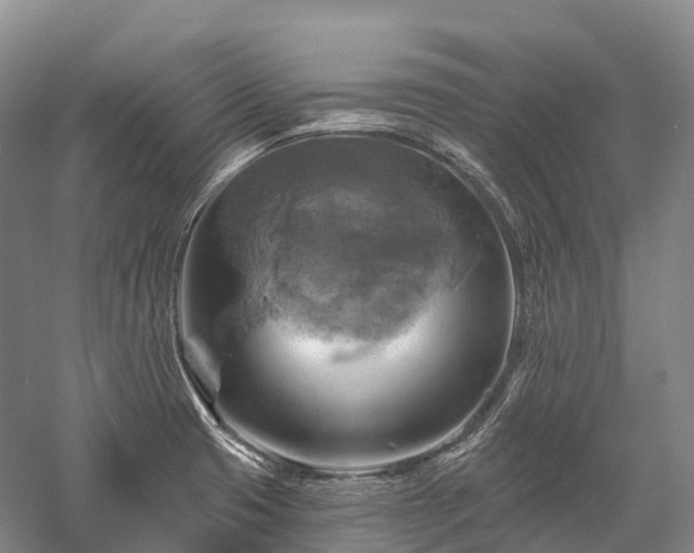 X0000057571425200509231214