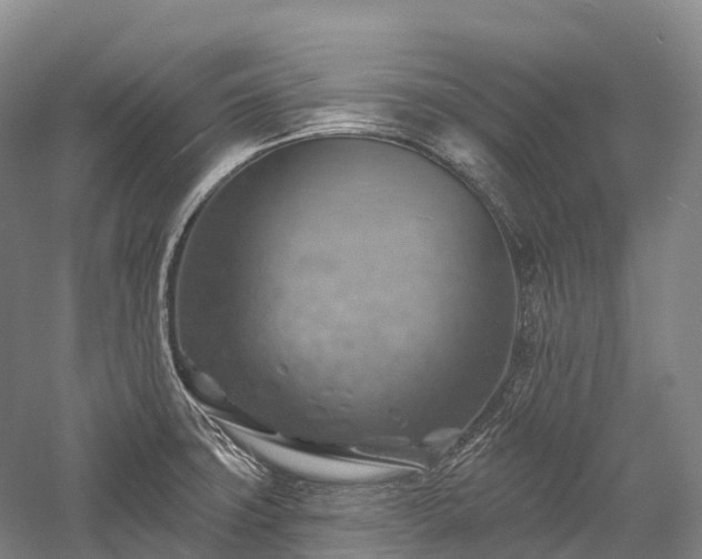 X0000057571427200509231214
