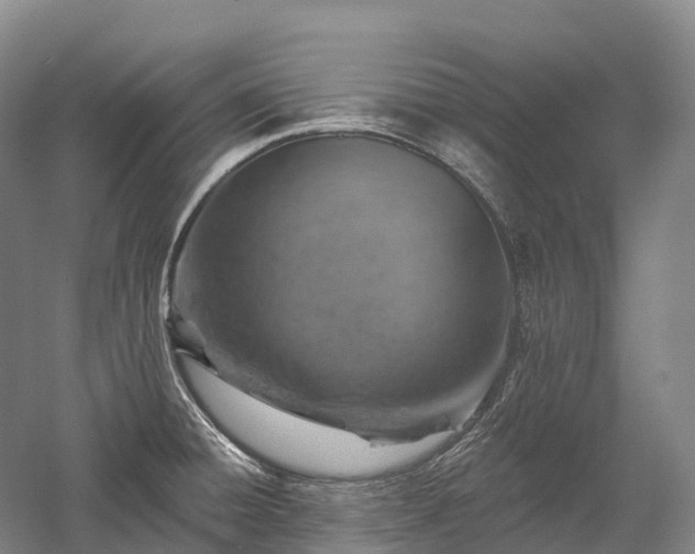X0000057571428200509231214