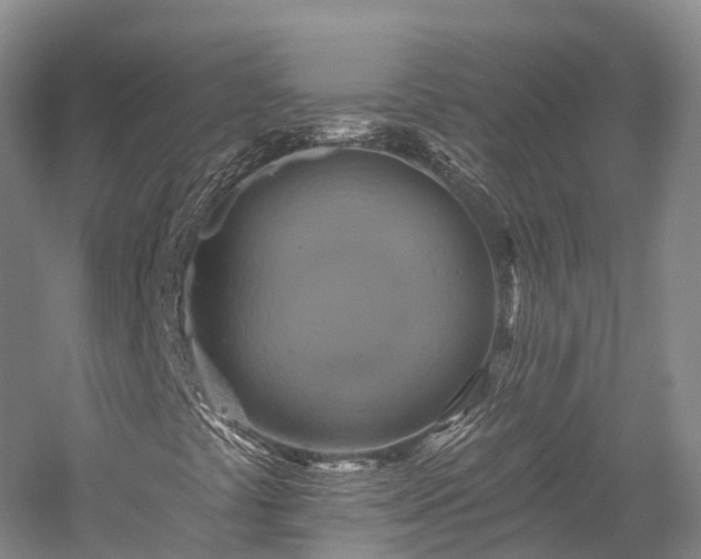 X0000057571441200509231213