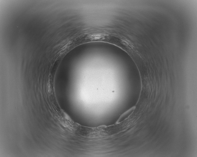 X0000057571442200509231213