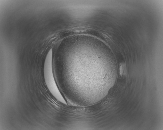 X0000057571444200509231213