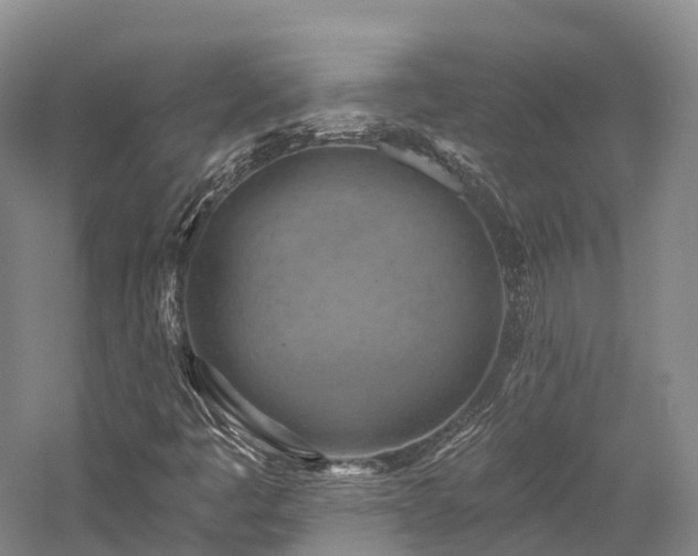 X0000057571445200509231213
