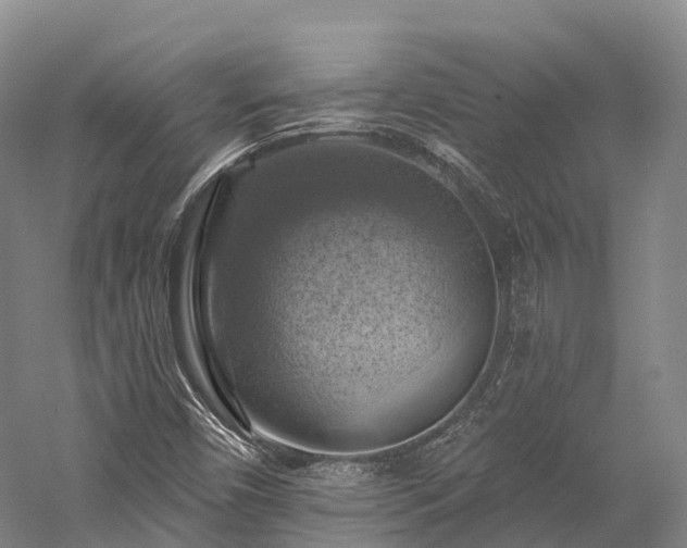 X0000057571450200509231213