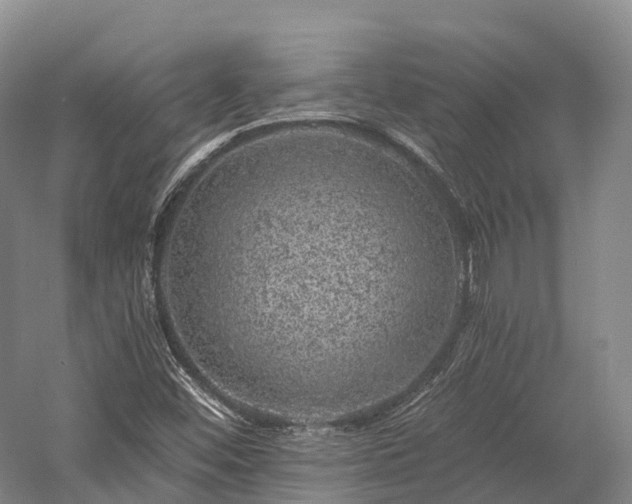 X0000057571452200509231213