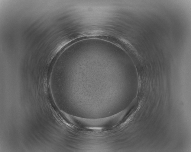X0000057571457200509231213
