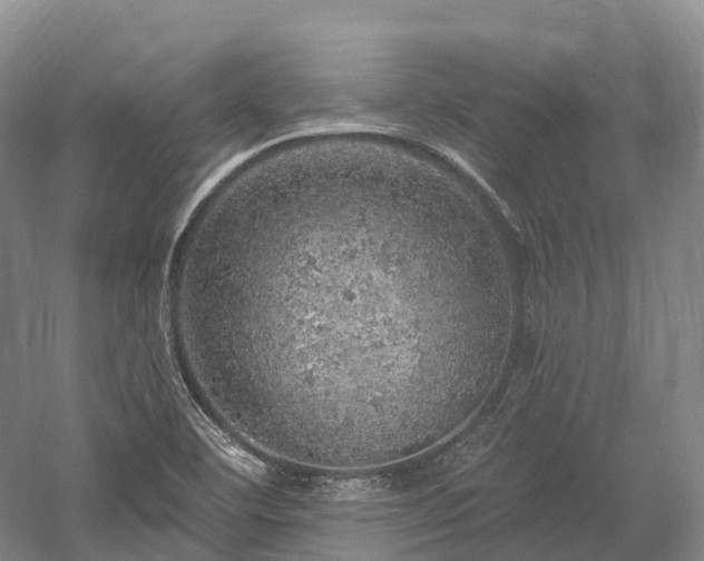 X0000057571460200509231213
