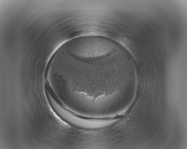X0000057571476200509231212