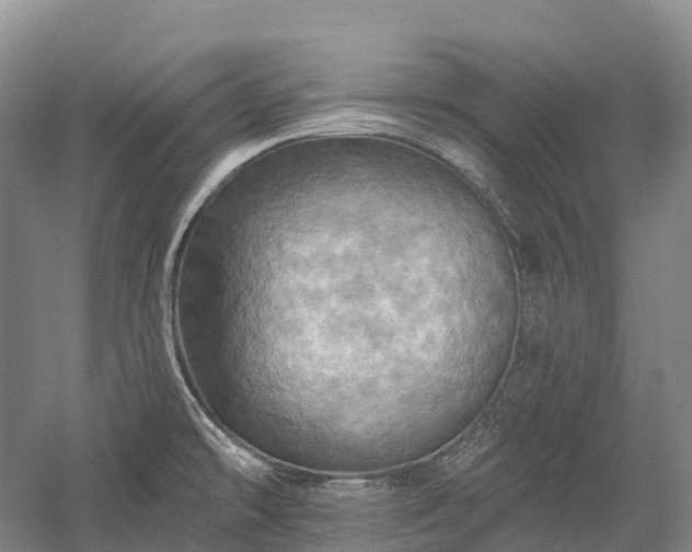 X0000057571478200509231212