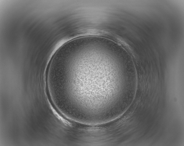 X0000057571479200509231212