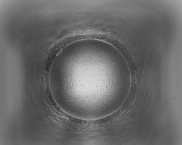 X0000057571493200509231211